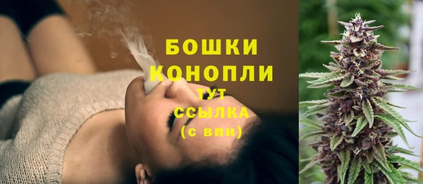 мескалин Няндома