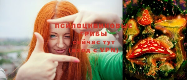 соль курить ск Новодвинск