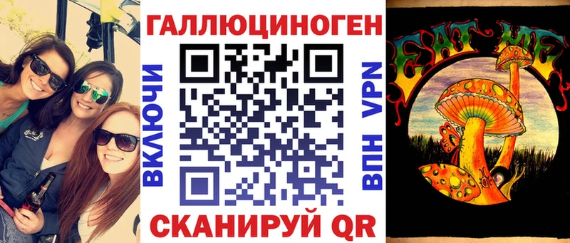 как найти закладки  Кашин  Псилоцибиновые грибы Magic Shrooms 